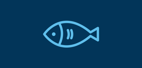 Fish Icon