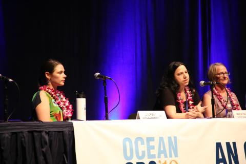 Panel at OceanObs'19